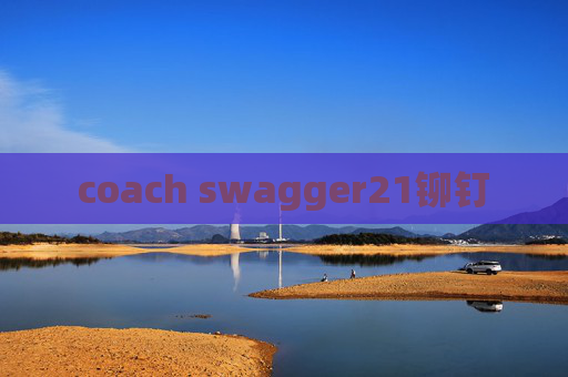coach swagger21铆钉